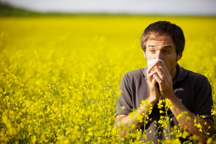 Аллергические реакции на сорные травы